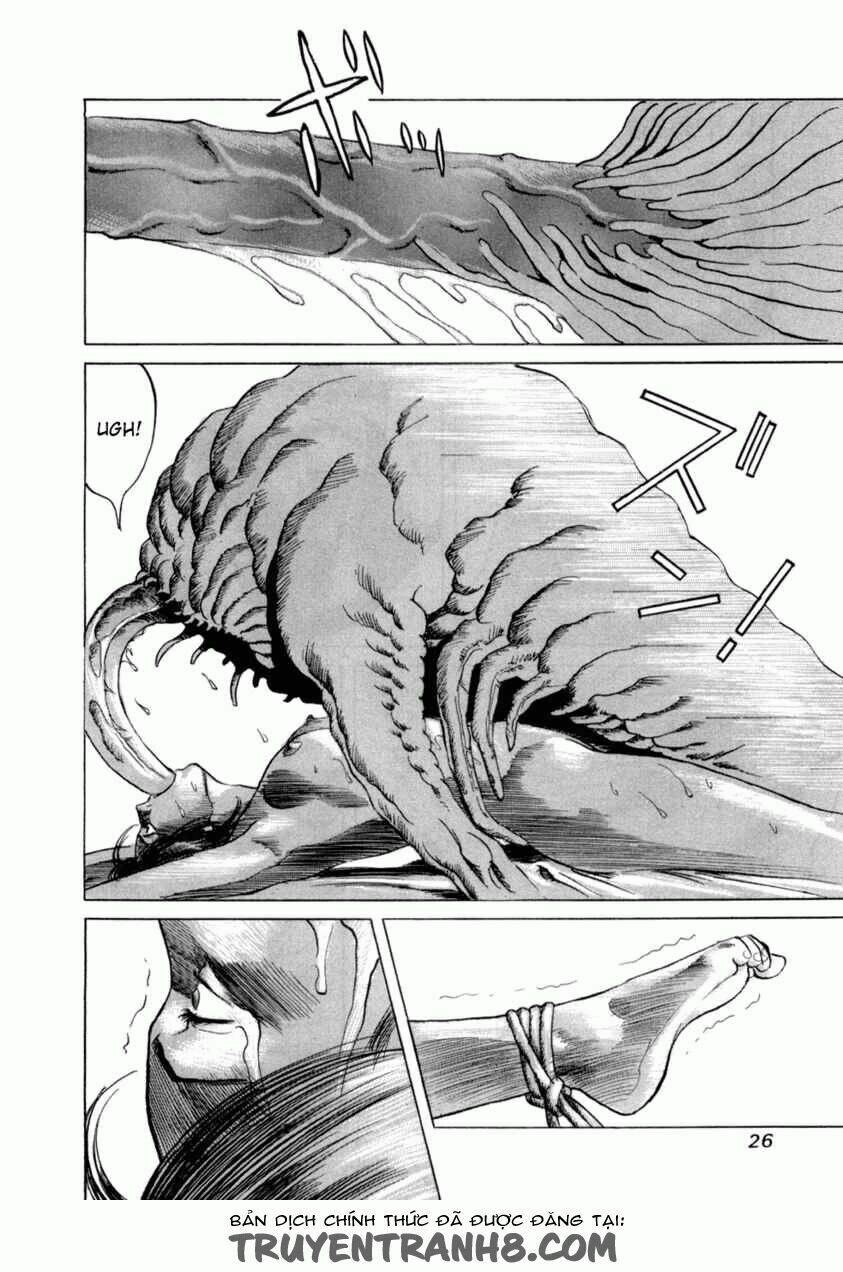 cambrian chapter 1 28