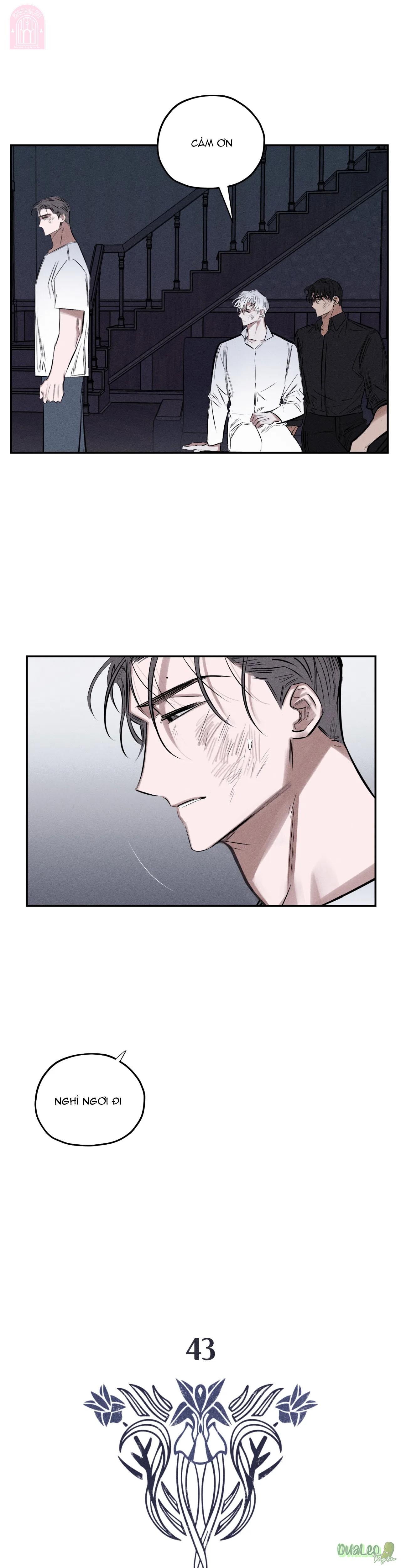 đóa hoa tội lỗi chapter 43 2