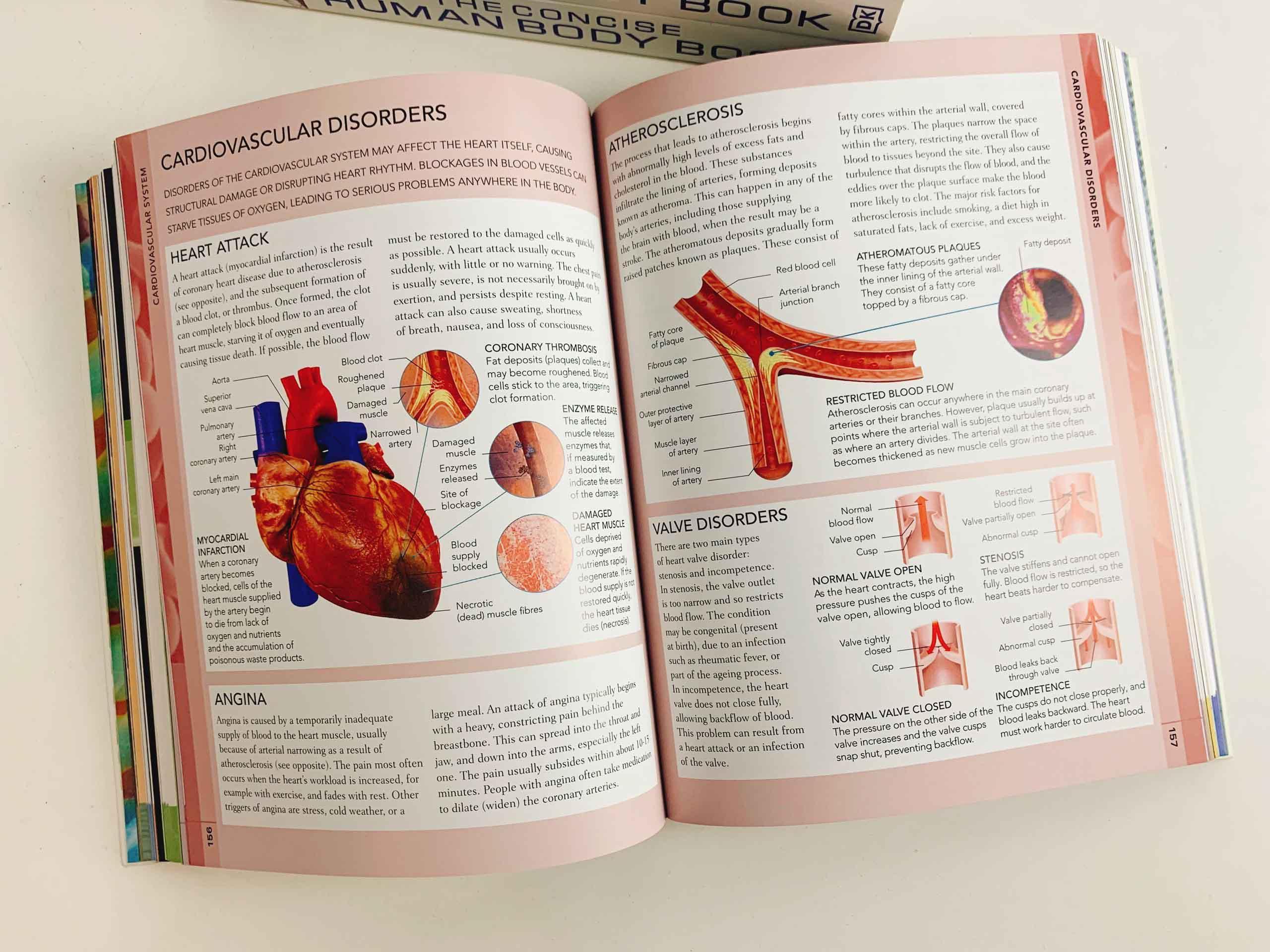 The Concise Human Body Book: An illustrated guide to its structure, function and disorders