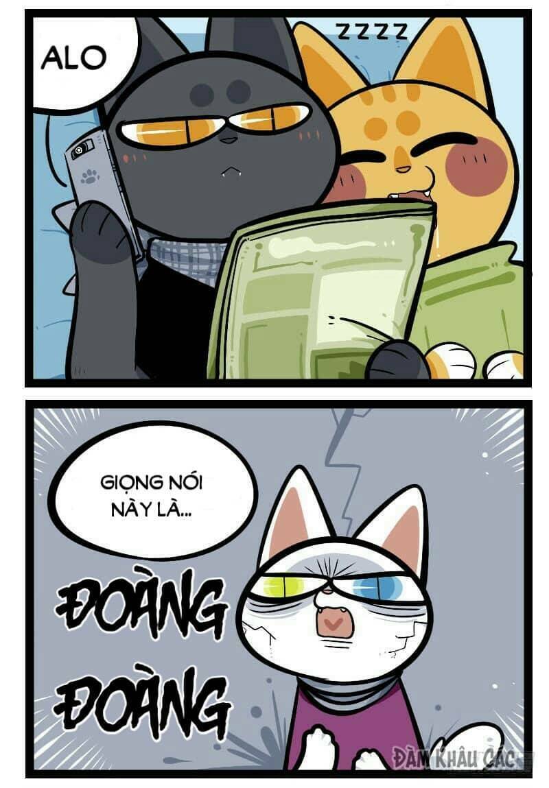 đời không như mình tưởng chapter 44 5