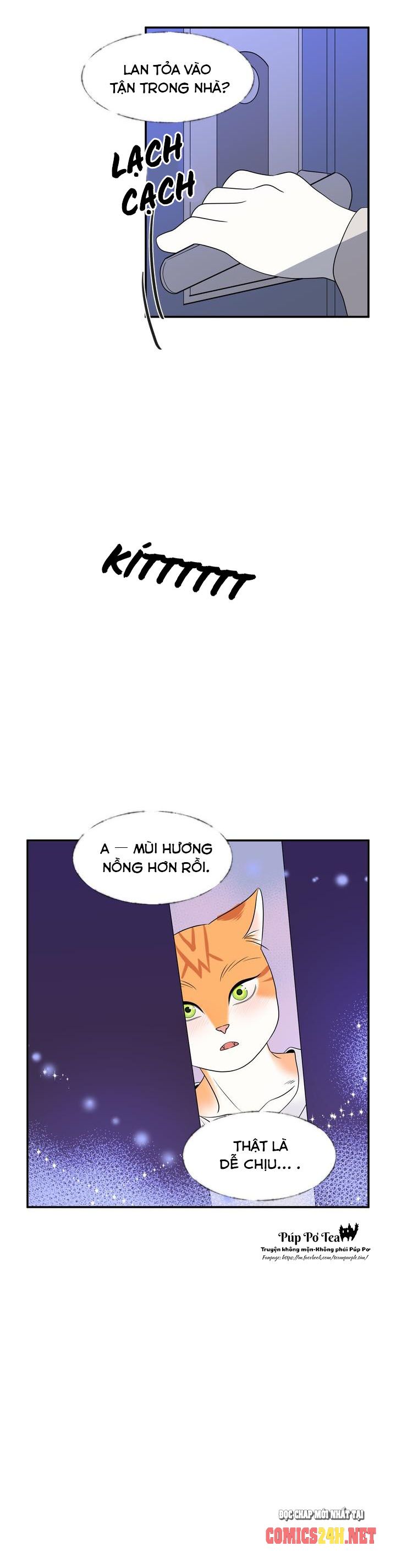 dự án xanh chapter 1 15