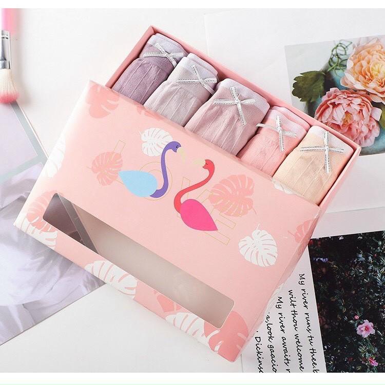 Hộp 5 quần nâng Mông thiên nga Quần Lót Nữ Cotton, Nâng Mông, Kháng Khuẩn