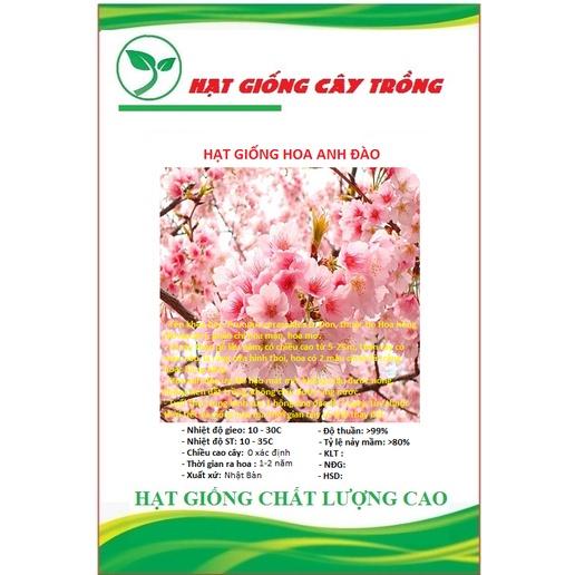 Hạt giống hoa anh đào Nhật CT201 - Gói 5 hạt