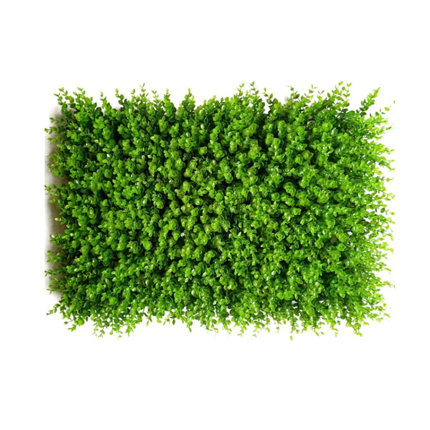 Tấm cỏ tai chuột trang trí treo tường kích thước 40cm x 60cm