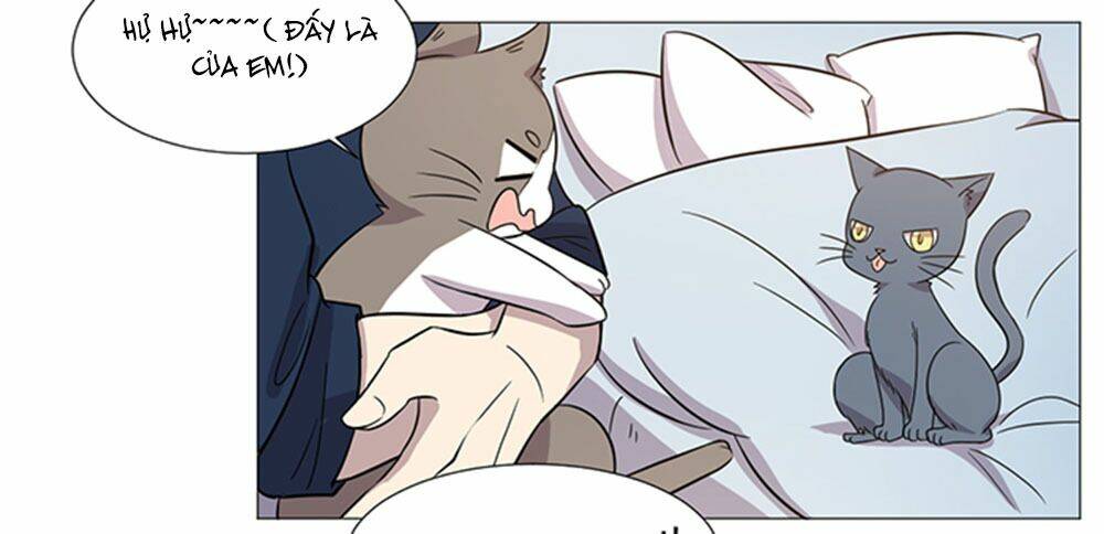 hai chú mèo totem chapter 37 43