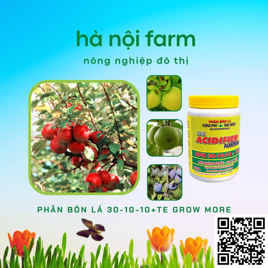 Phân bón lá 30-10-10 Grow More - Hũ 100g