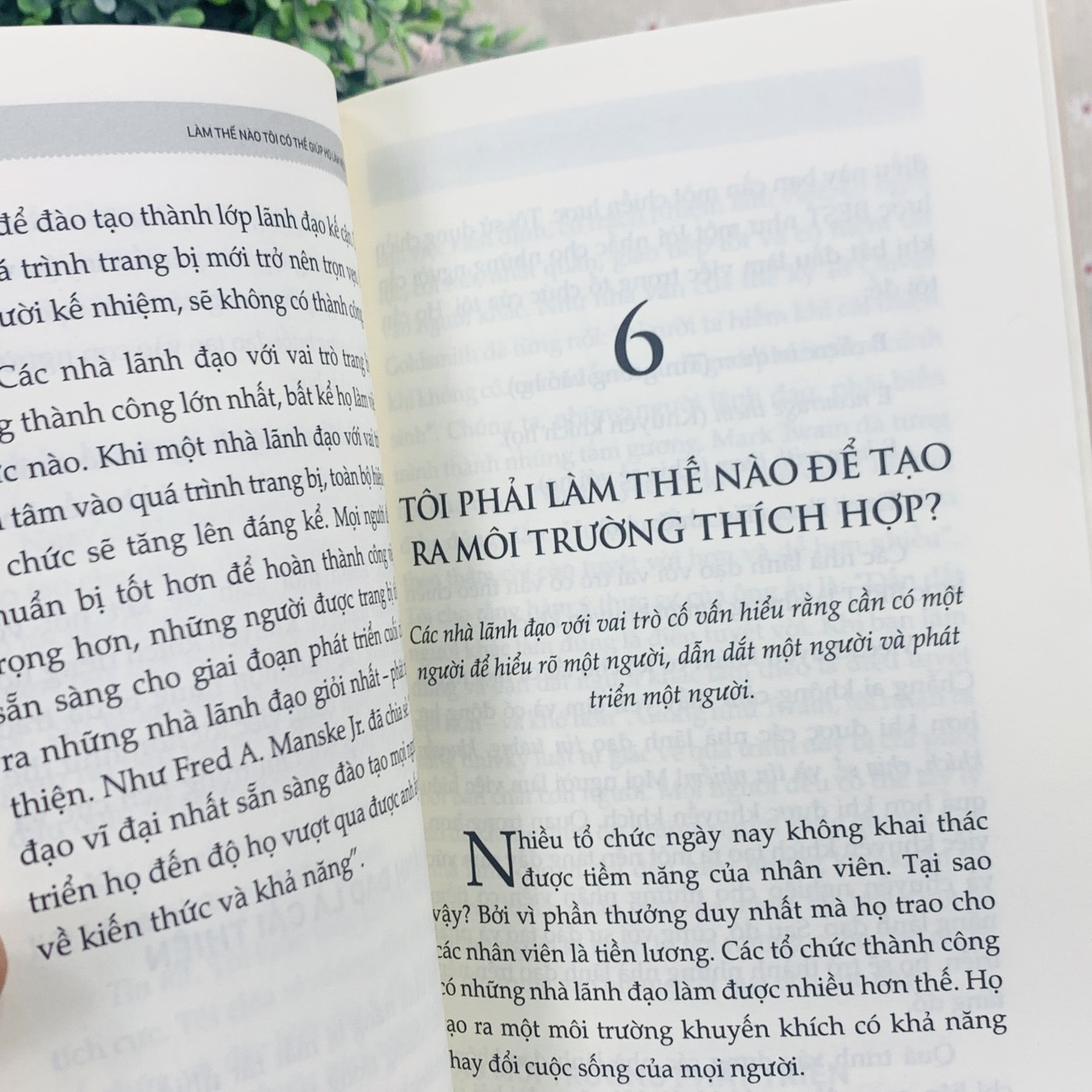 Combo 8 Cuốn 101 - Những Điều Nhà Lãnh Đạo Cần Biết - Tác Giả John C. Maxwell - Tái Bản