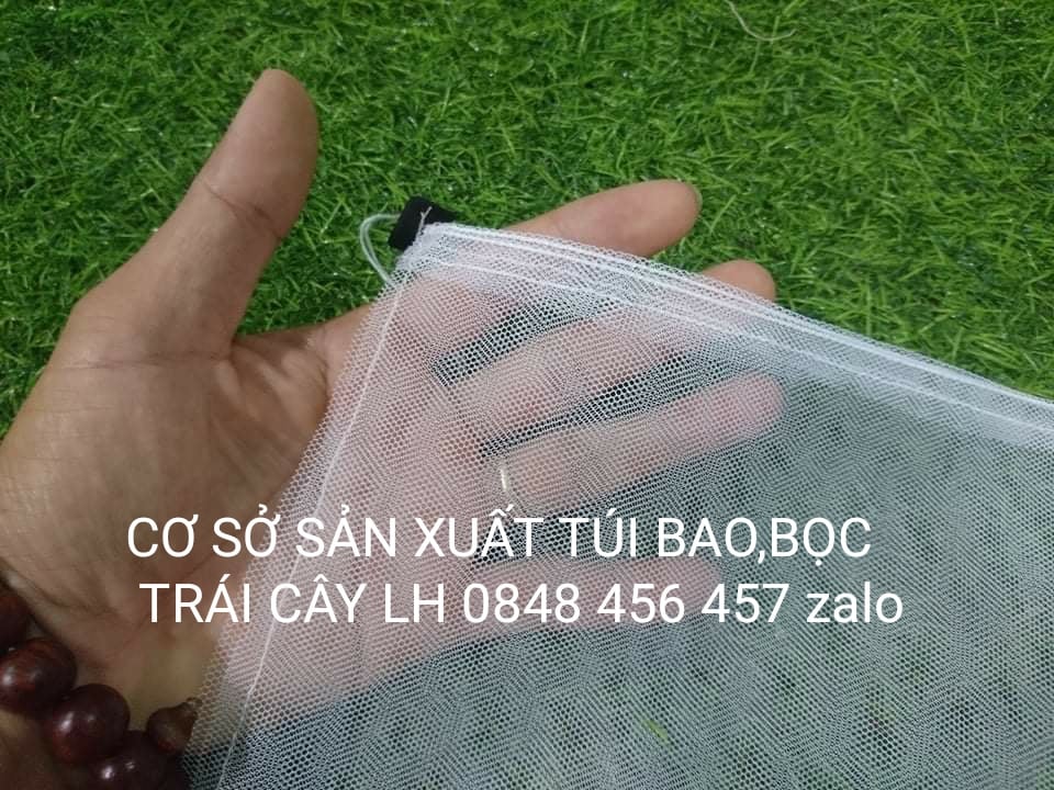 50 cái TÚI BAO, BỌC MÍT THÁI LƯỚI TỐT 50*70 -TÚI BỌC TRÁI CÂY