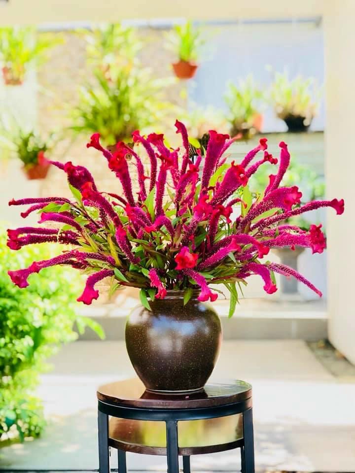 VÒ TRÒN MEN MỘC VẼ HOA H30CM