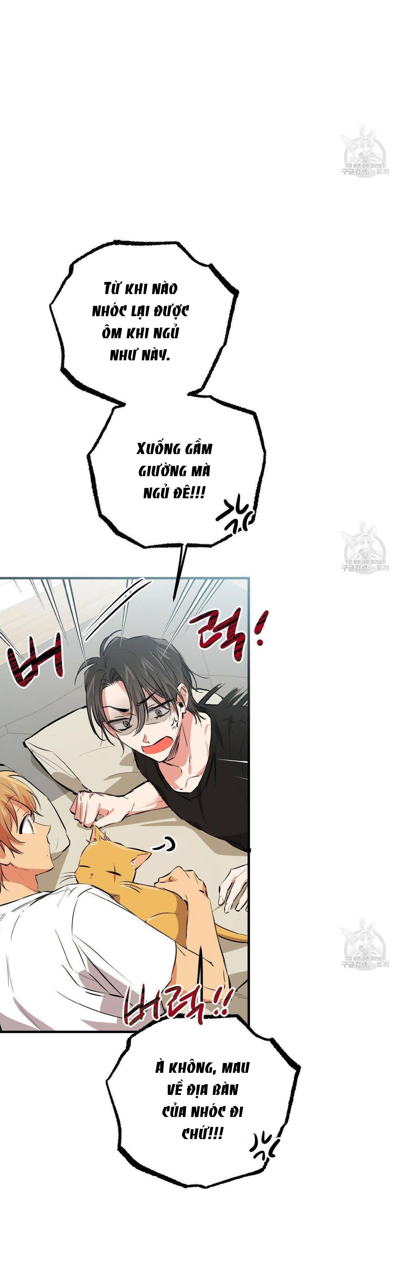 những chú thỏ của hapypy chapter 52.1 14