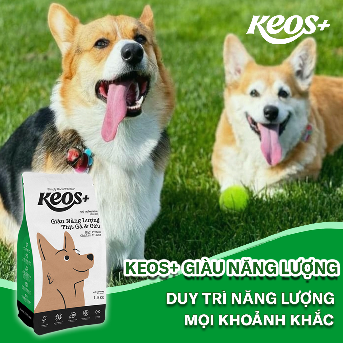 20KG Thức ăn cho chó Keos Plus Giàu Năng Lượng Thịt Gà &amp; Cừu - Keos+ High Protein Chicken &amp; Lamp