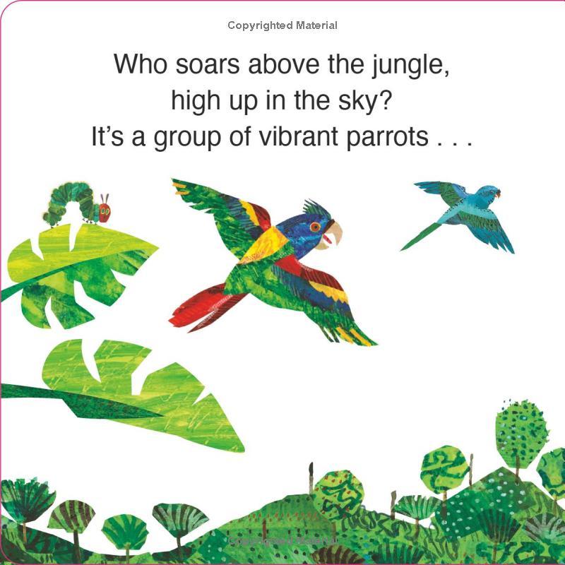 Sách ngoại văn: The Very Hungry Caterpillar's Jungle Hide &amp; Seek