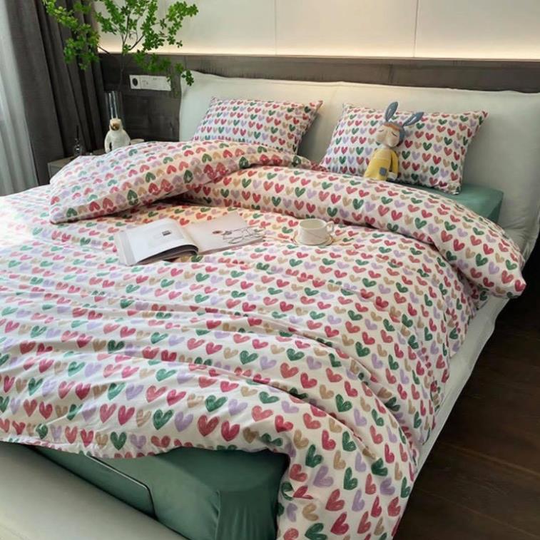 Set chăn ga gối cotton living cao cấp bo chun miễn phí