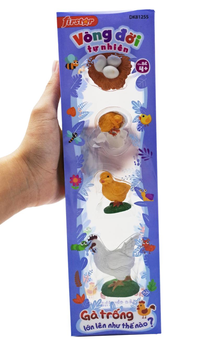 Đồ Chơi Mô Hình Vòng Đời Tự Nhiên - Gà Trống Lớn Lên Như Thế Nào? - Firstar DK81255