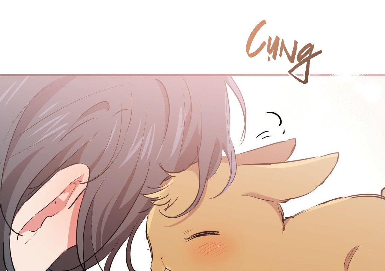 đàn thỏ của habibi chapter 20 226