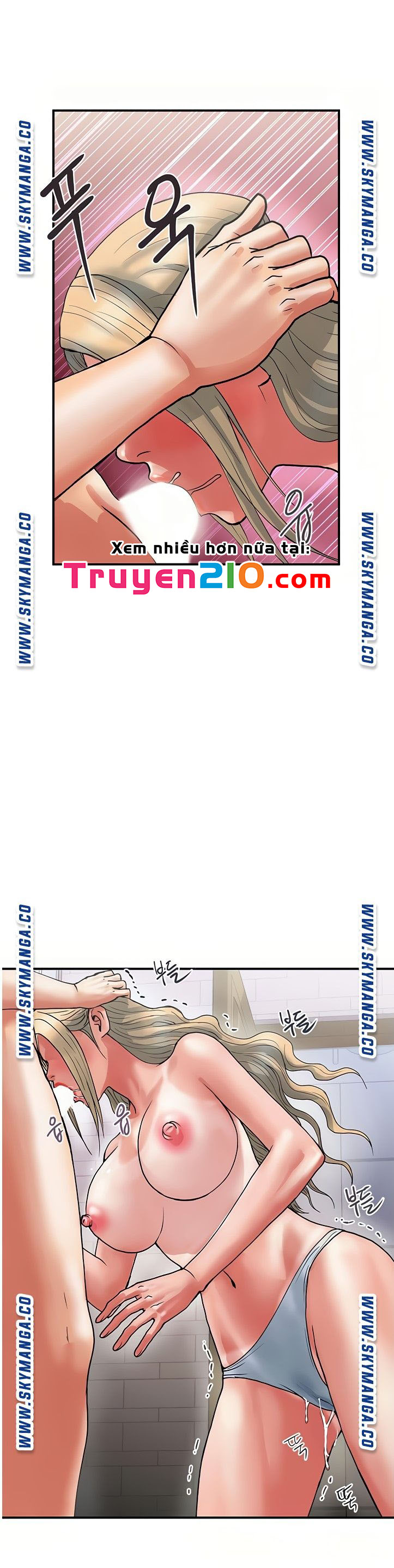 chất dẫn dục chapter 11 20