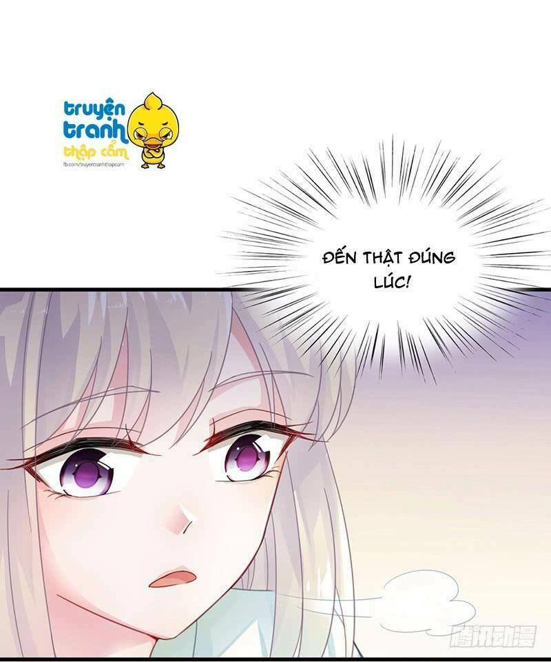 chọc tới chủ tịch tổng tài 2 chapter 16 28