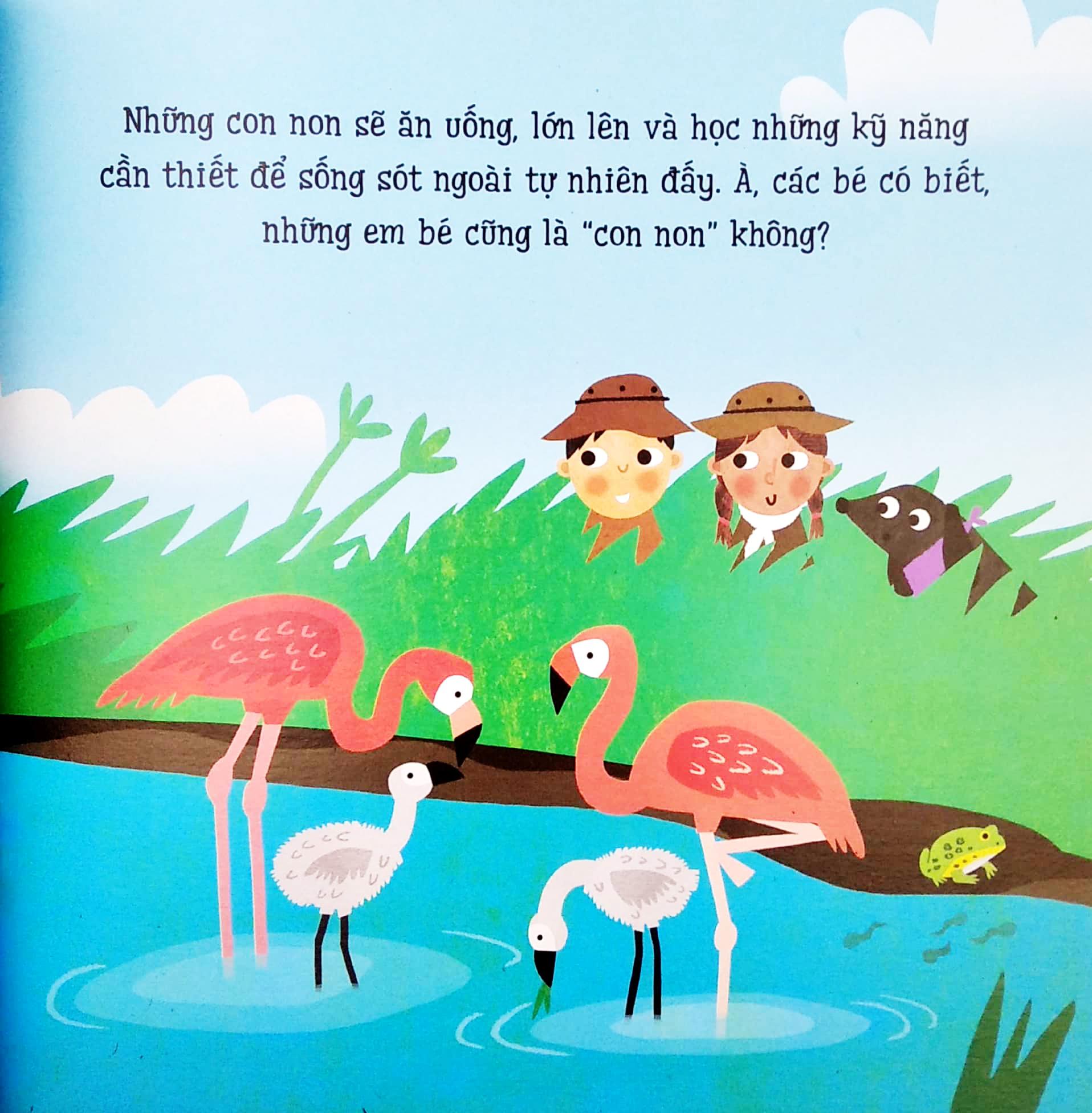 Bé Yêu Khám Phá - Thú Non Đáng Yêu