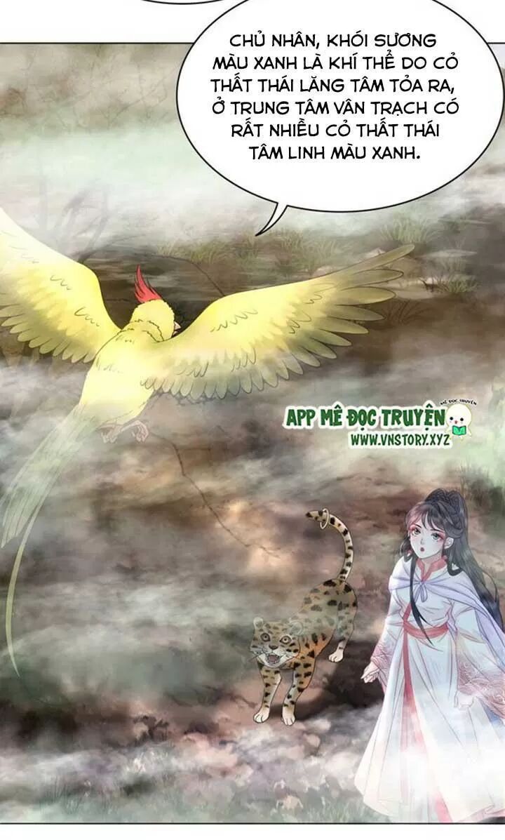 cực phẩm phế vật tiểu thư chapter 67 12