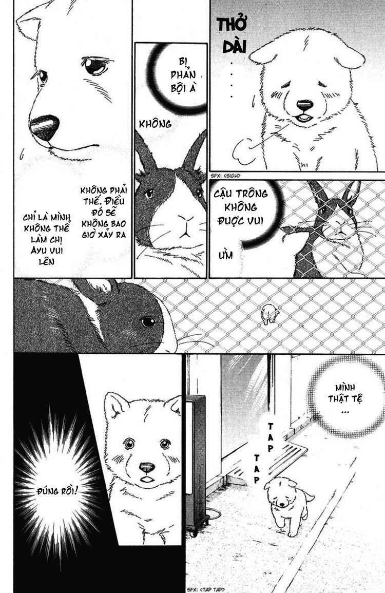 deep love - pao no monogatari chapter 10 6