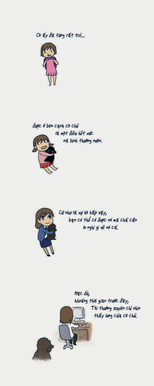 mèo con và chú chó già của tôi chapter 2 2