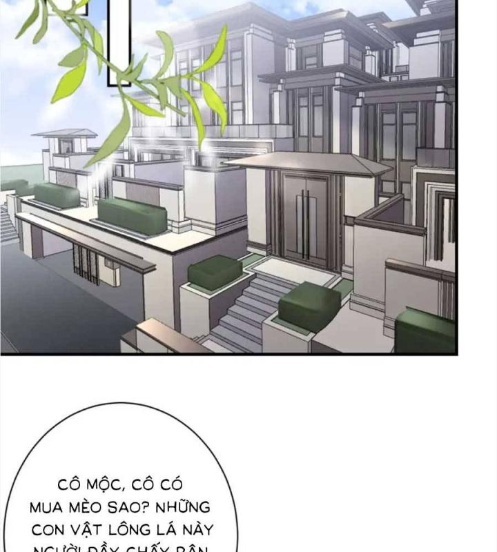 đại tiểu thư có thể có bụng dạ gì xấu chứ! (full) chapter 176 59