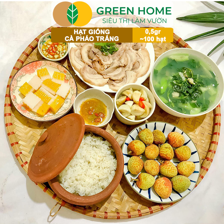 Hạt Giống Cà Pháo Trắng GreenHome, Gói 0,5g~100 hạt, Dễ Trồng Quanh Năm, Năng Suất Cao T44