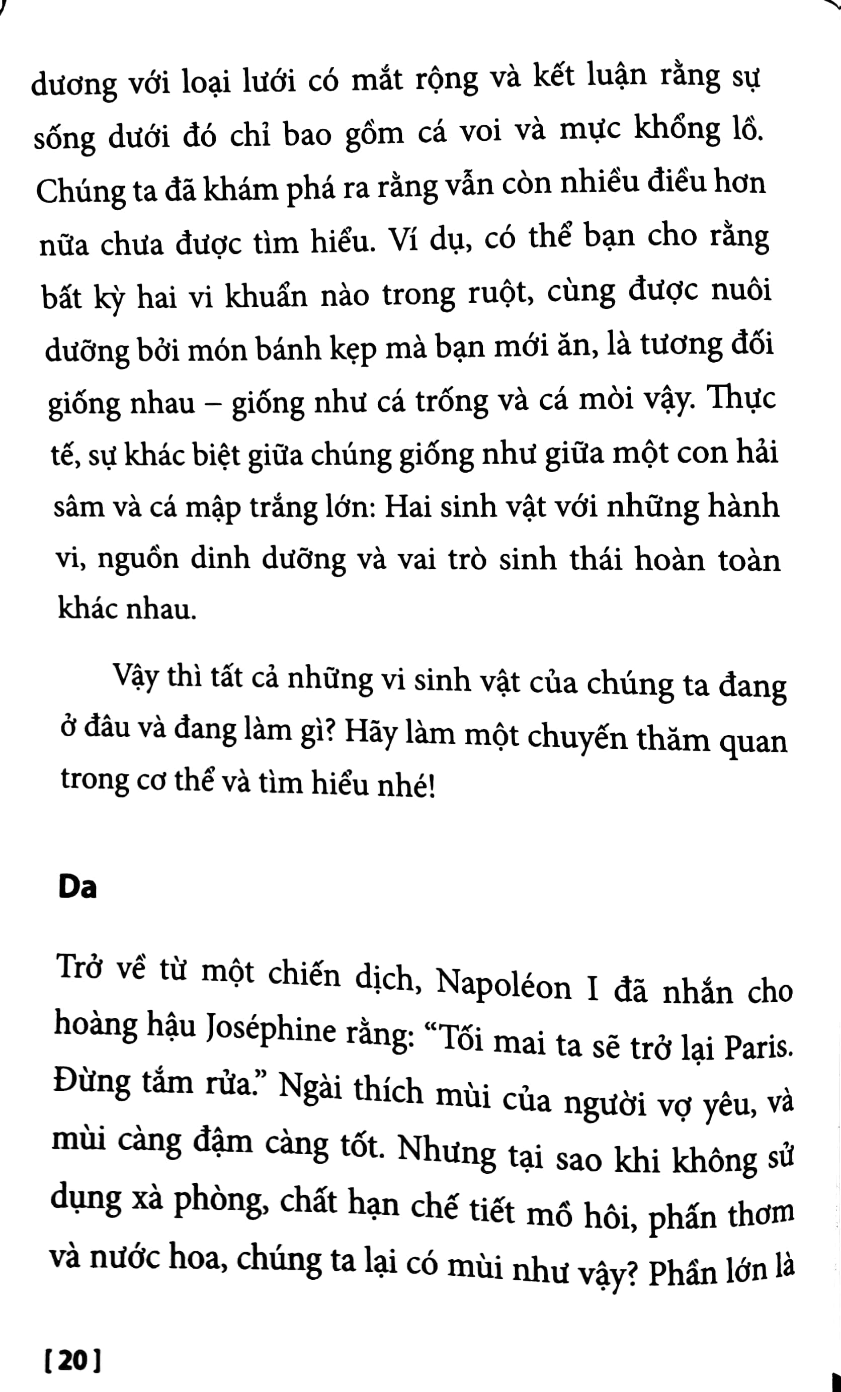 Nghe Theo Cái Bụng