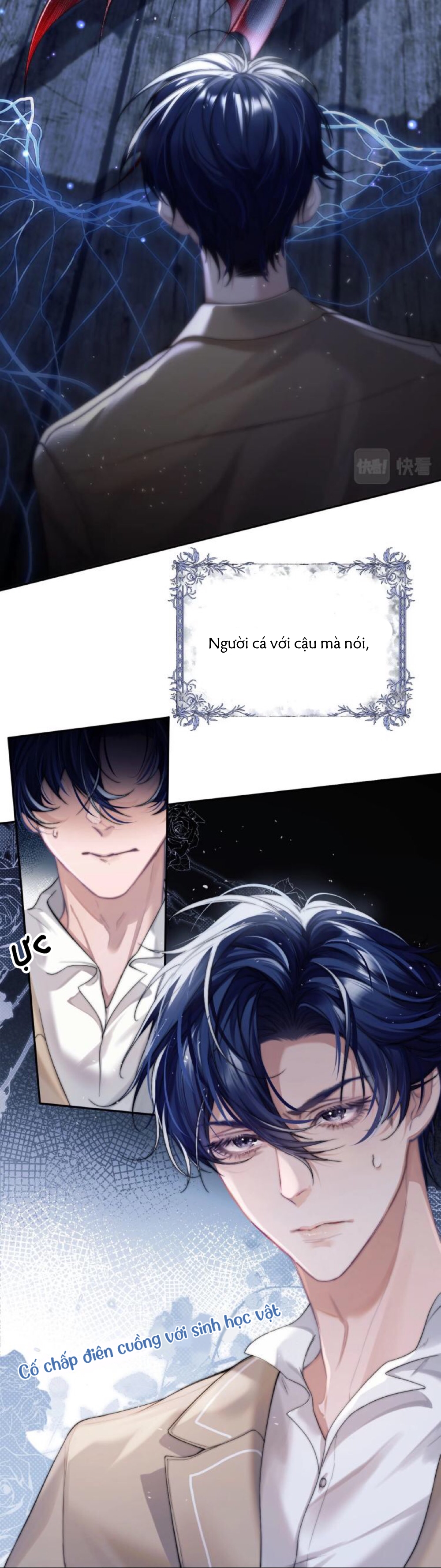 nhân ngư dessaro chapter 1 17