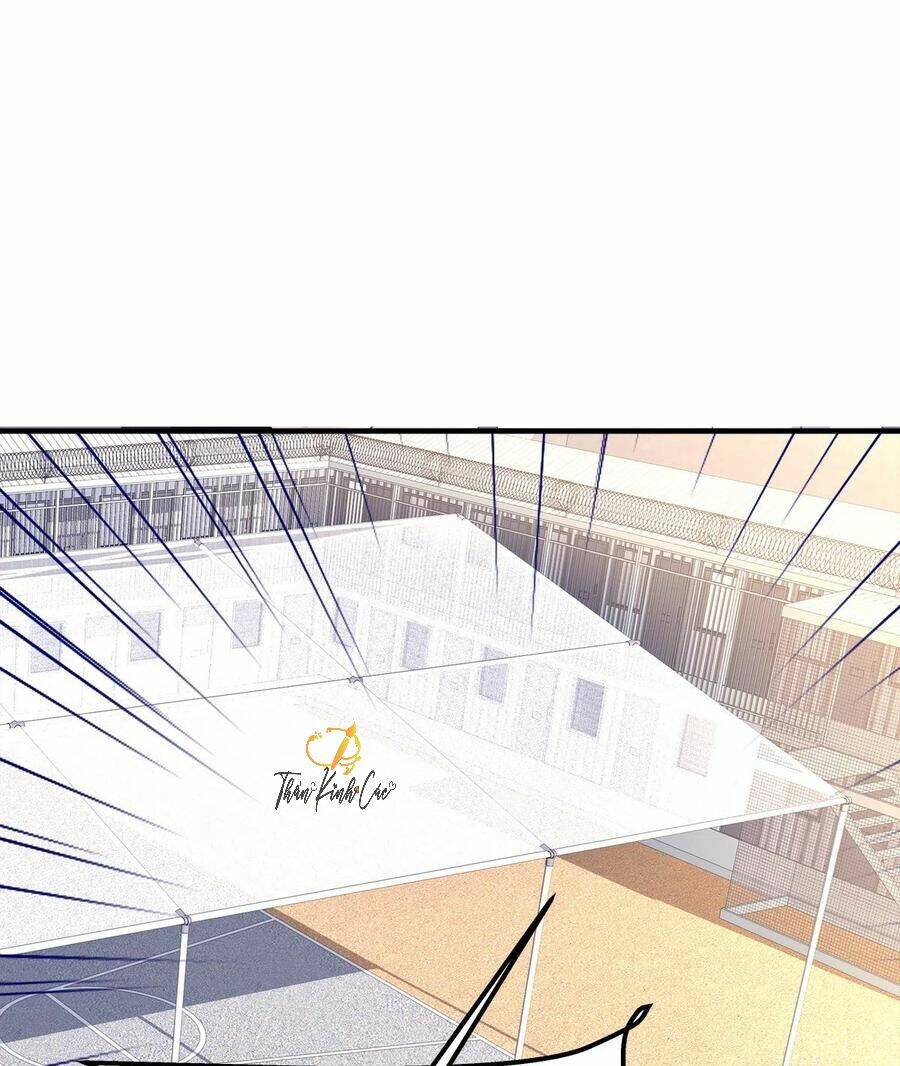 toàn bộ nắm trong tay chapter 80 19