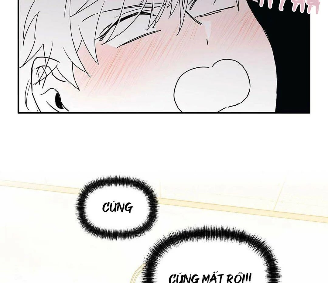 guide cấp b chapter 8 153