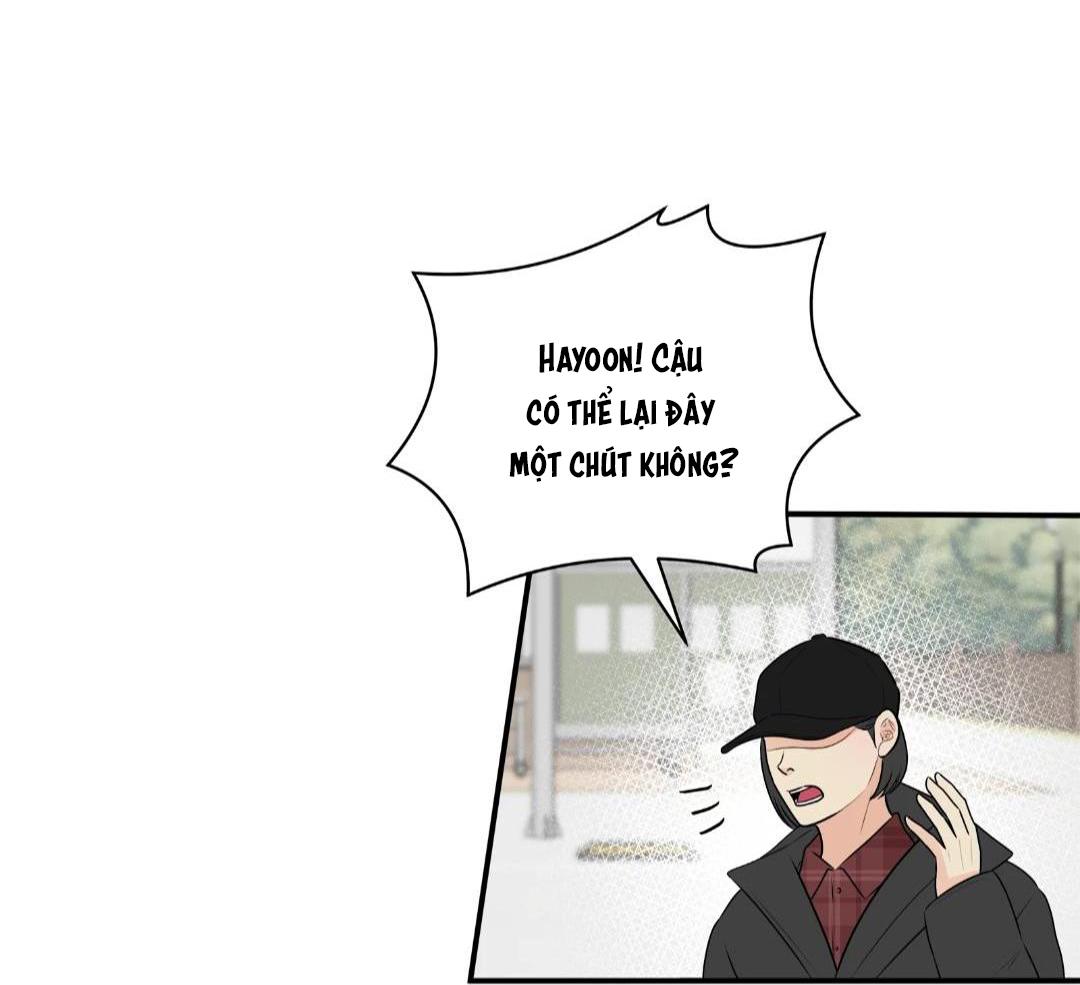 hạnh phúc trọn vẹn chapter 20 28