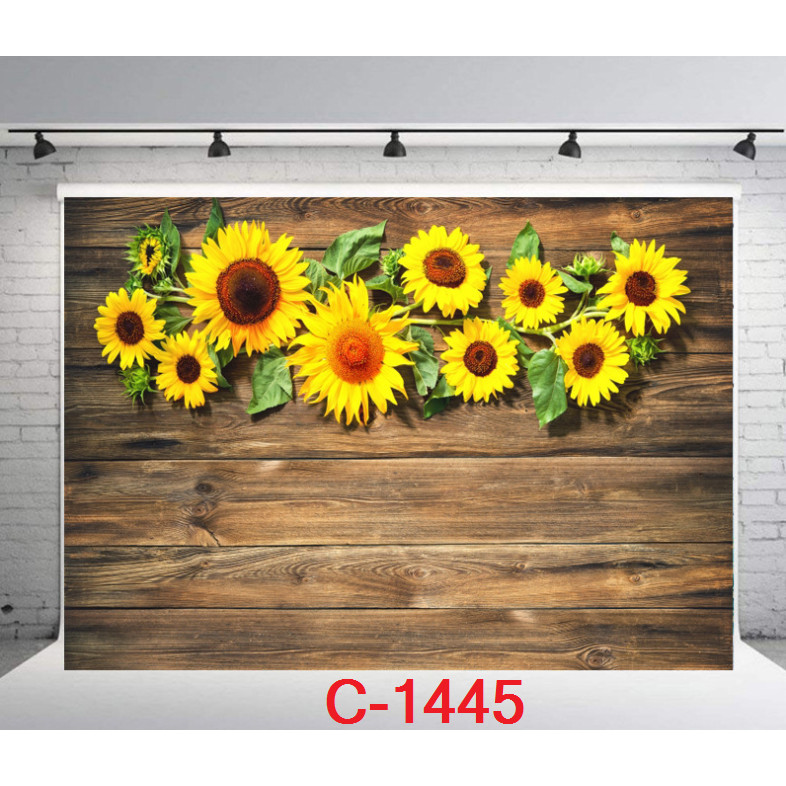 TẤM PHÔNG VẢI 3D CHỤP ẢNH kích thước 125x80cm Mẫu: C-1445