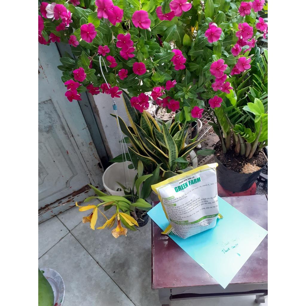 Phân bón hữu cơ 1 ký