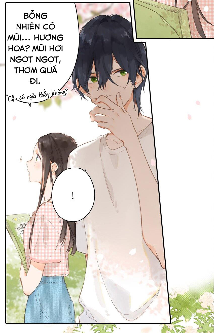 tiệm hoa hướng dương ở góc phố chapter 6 5