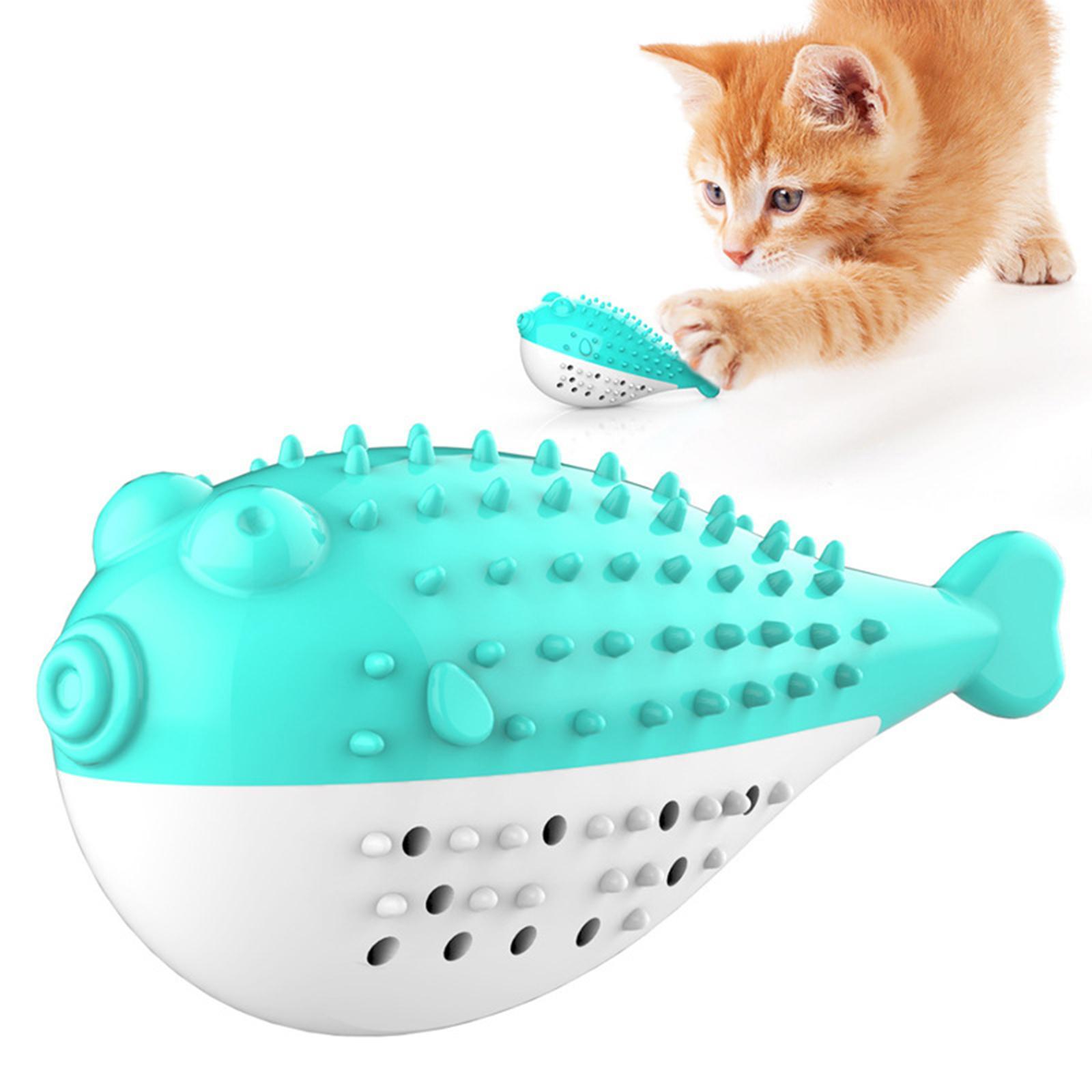 Catnip Toy Indoor Training Cat Interactive Chew Toy for Kitty
