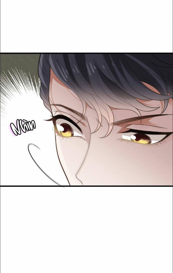 một vợ yêu, một bé con chapter 260 23