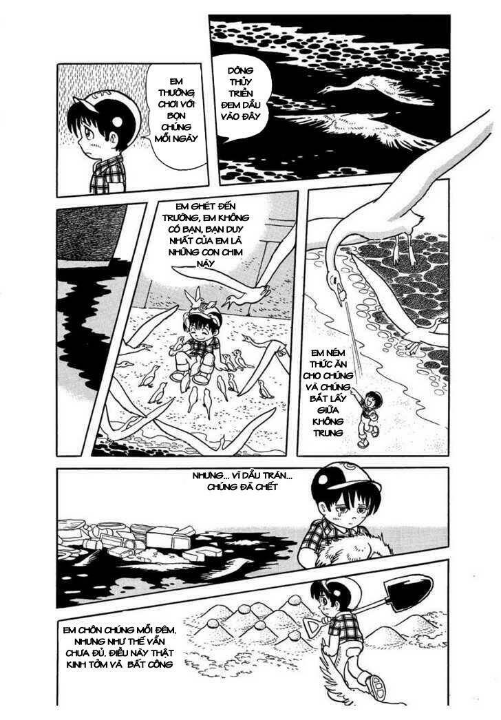 midnight chapter 1 8