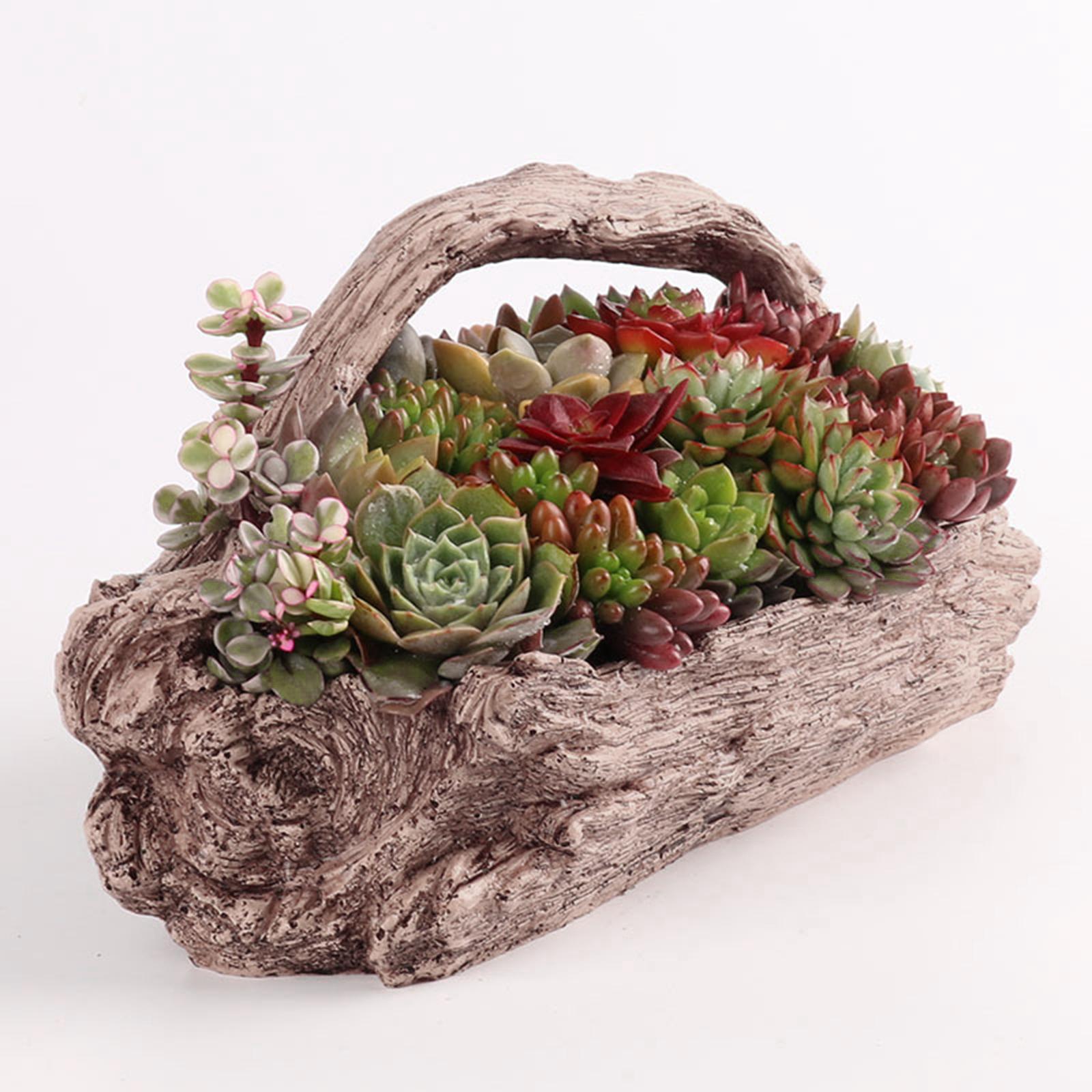 Resin Tree  Shaped Succulent Planter with Drainage Hole  Pot