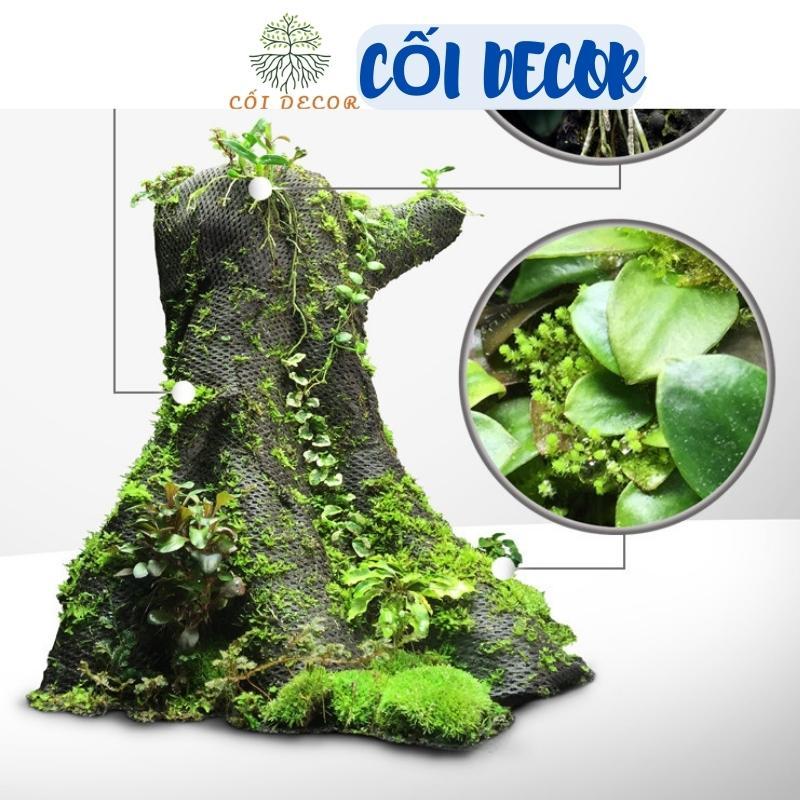 Lưới giữ ẩm bán cạn, lưới làm tường rêu terrarium dày 3mm