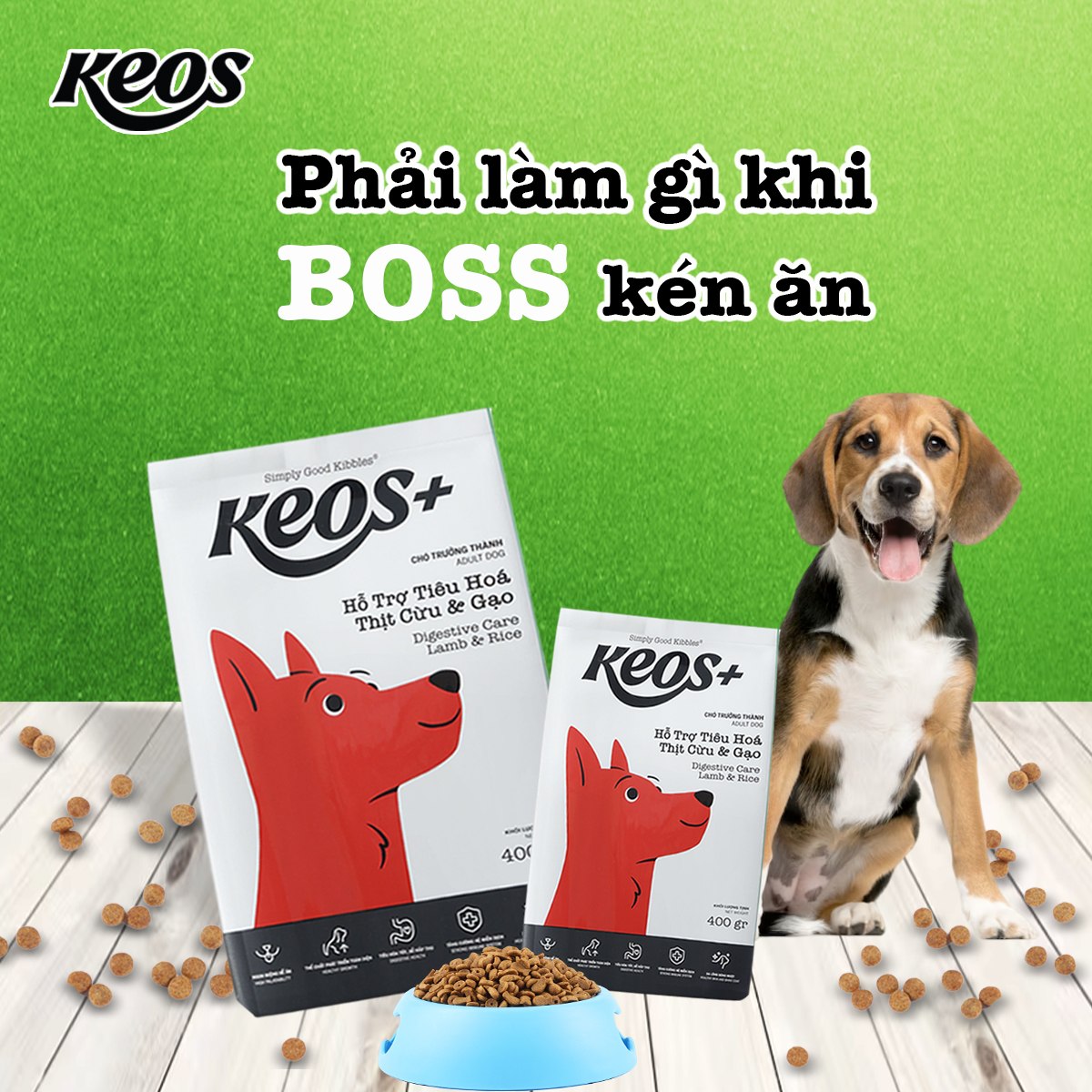 20KG Thức ăn chó Keos+ hỗ trợ tiêu hóa cho chó, vị thịt cừu &amp; gạo . KEOS PLUS ADULT Digestive Care Lamb and Rice