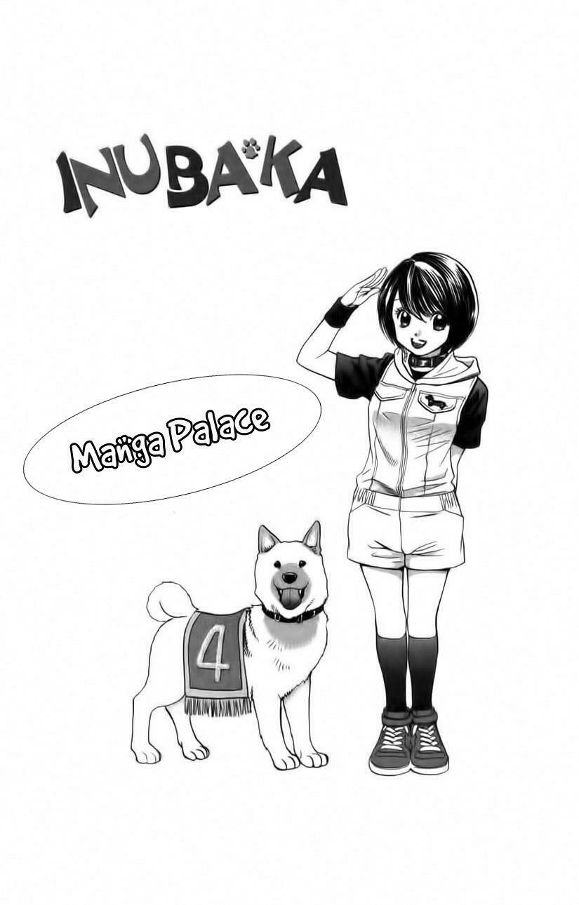 cô nàng yêu chó chapter 31 3