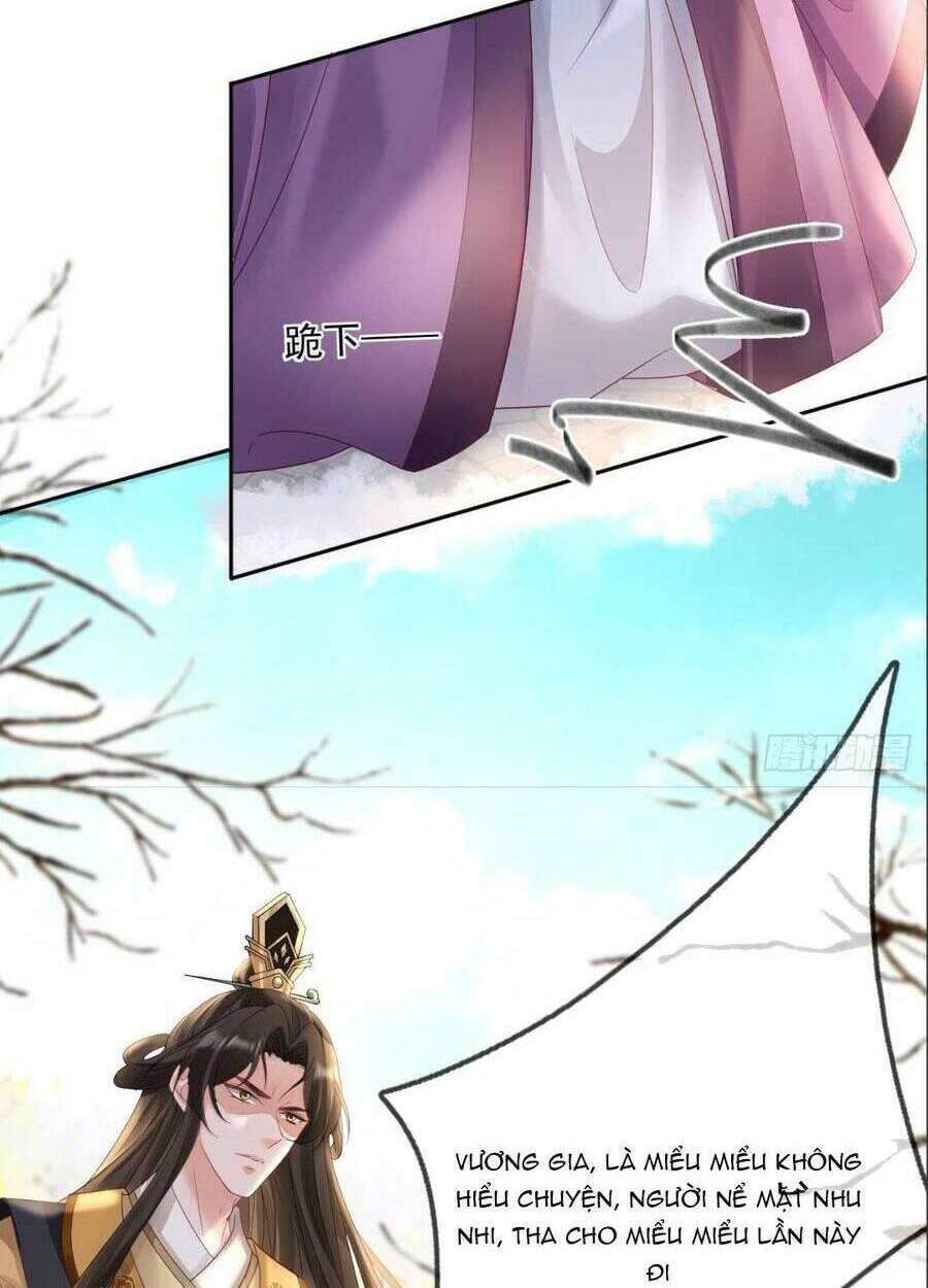 sự trả thù của vương phi chapter 46 45