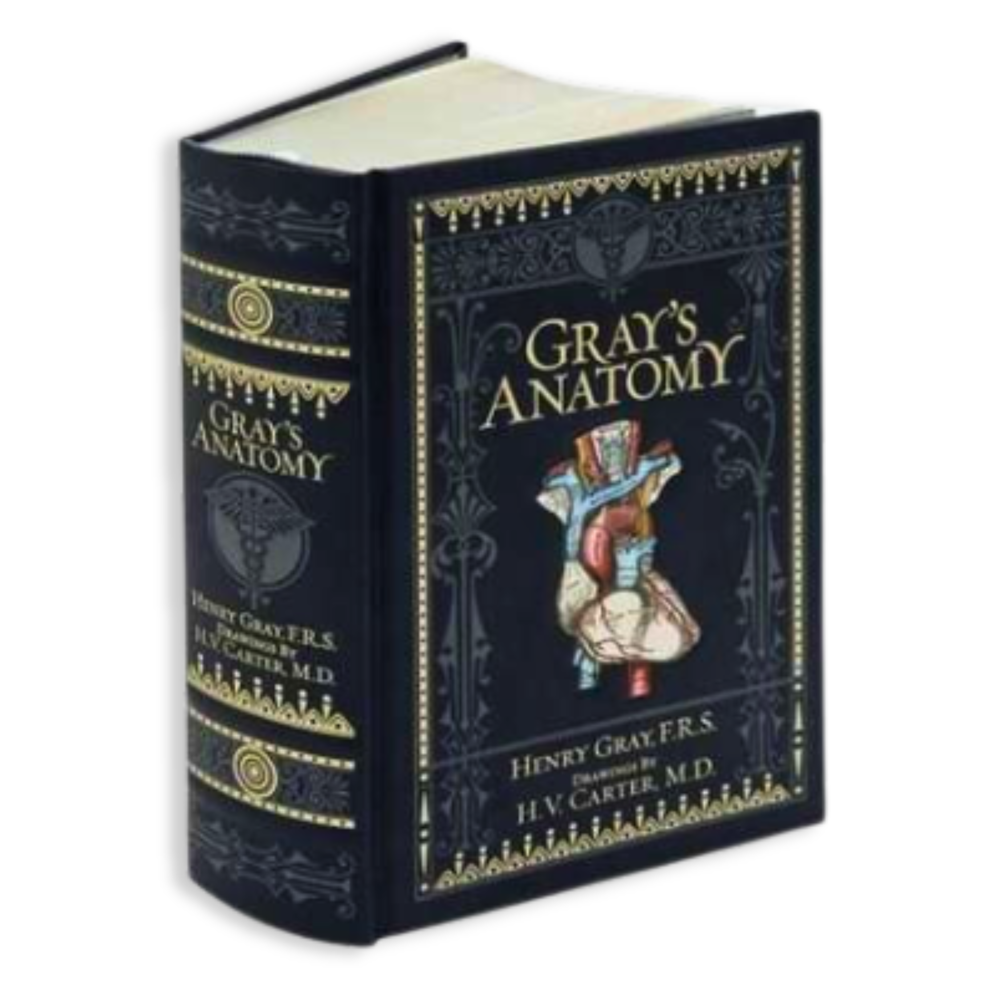 Artbook - Sách Tiếng Anh - Gray'S Anatomy