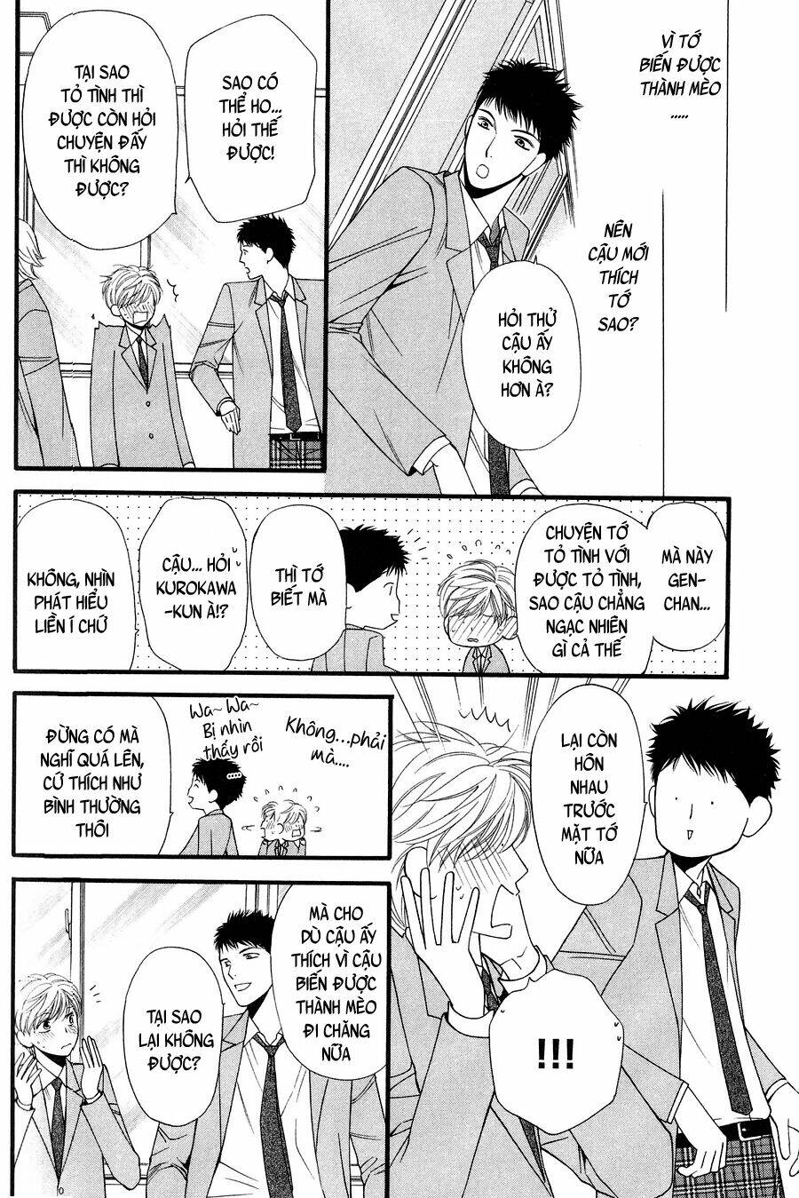 neko neko honey chapter 11 12