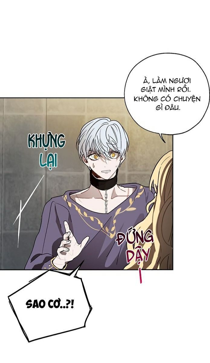 cách để cứu rỗi anh trai của nữ chính chapter 8 19