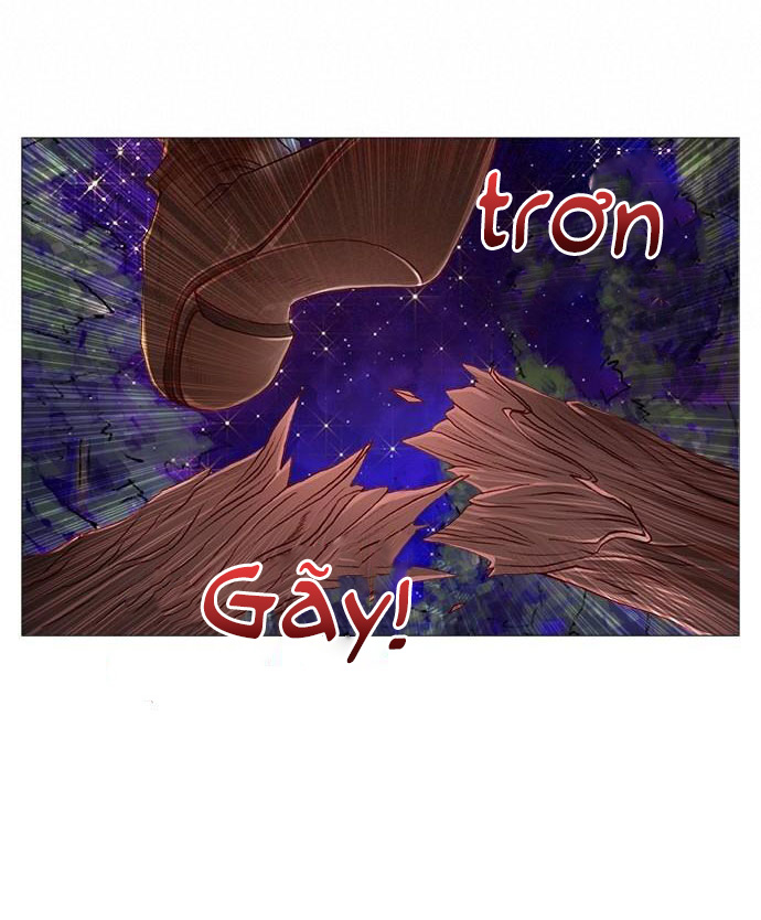 tôi chính là nhà sưu tập chim chapter 17 31