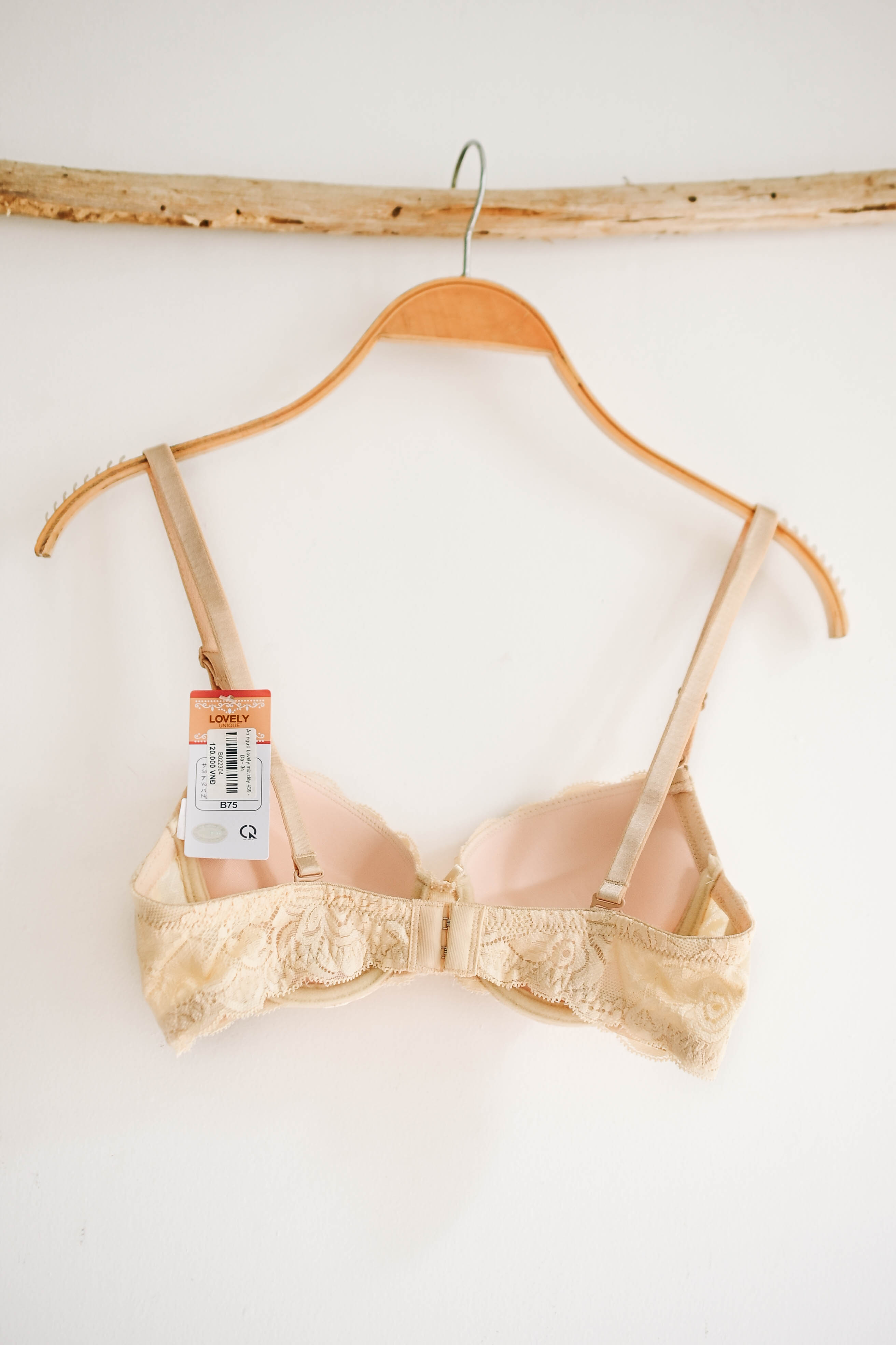 Áo ngực Lovely mút dày 439
