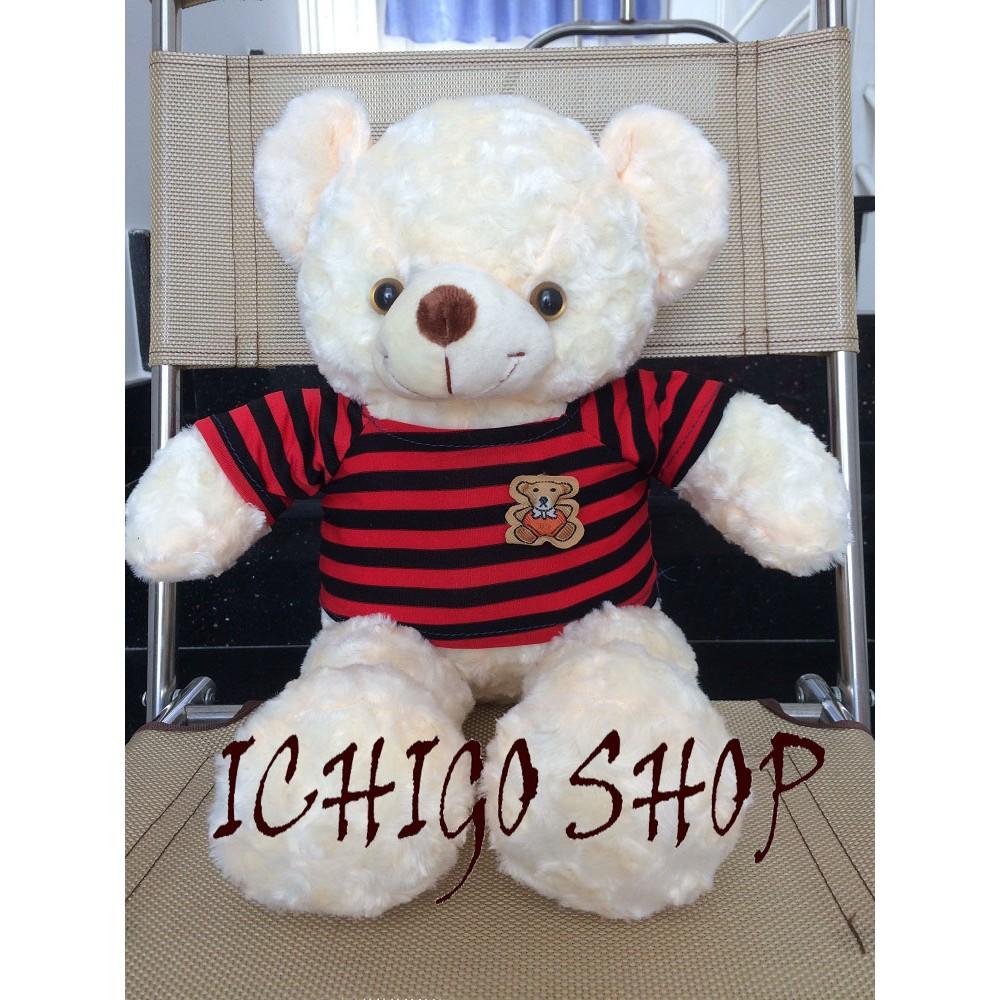 GẤU BÔNG TEDDY Size 50Cm ĐẢM BẢO 100% GÒN màu kem