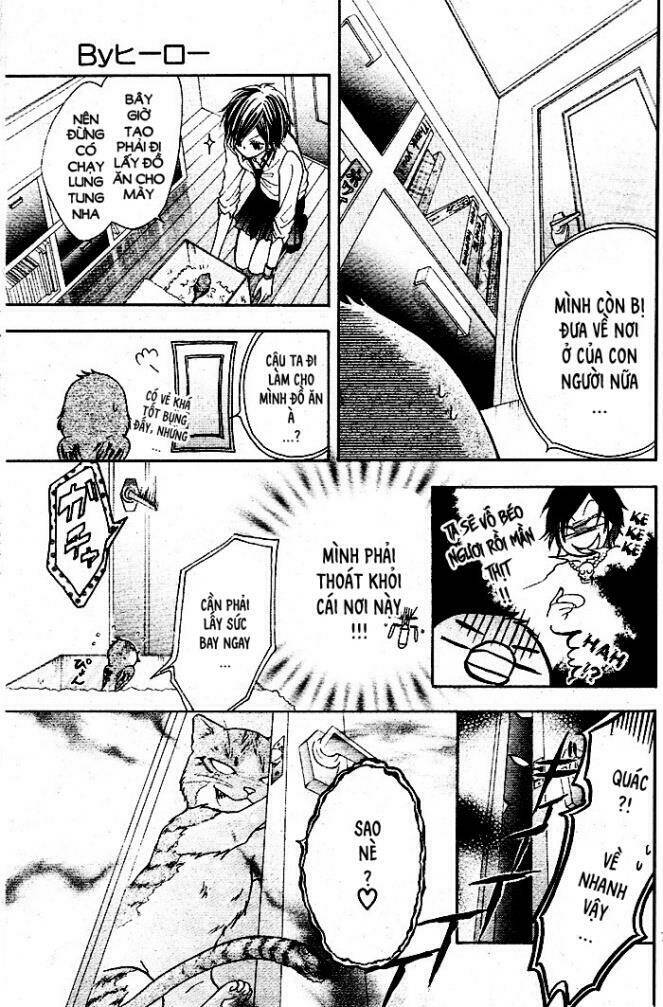 by hero [s.a] chapter 1 13